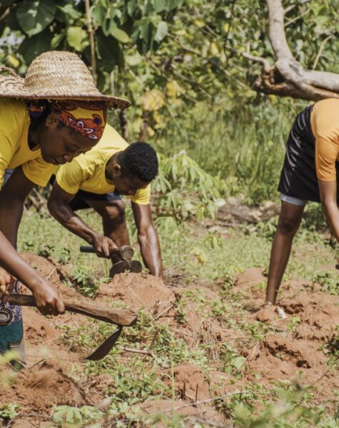 countryside-people-working-field countryside-people-working-field
