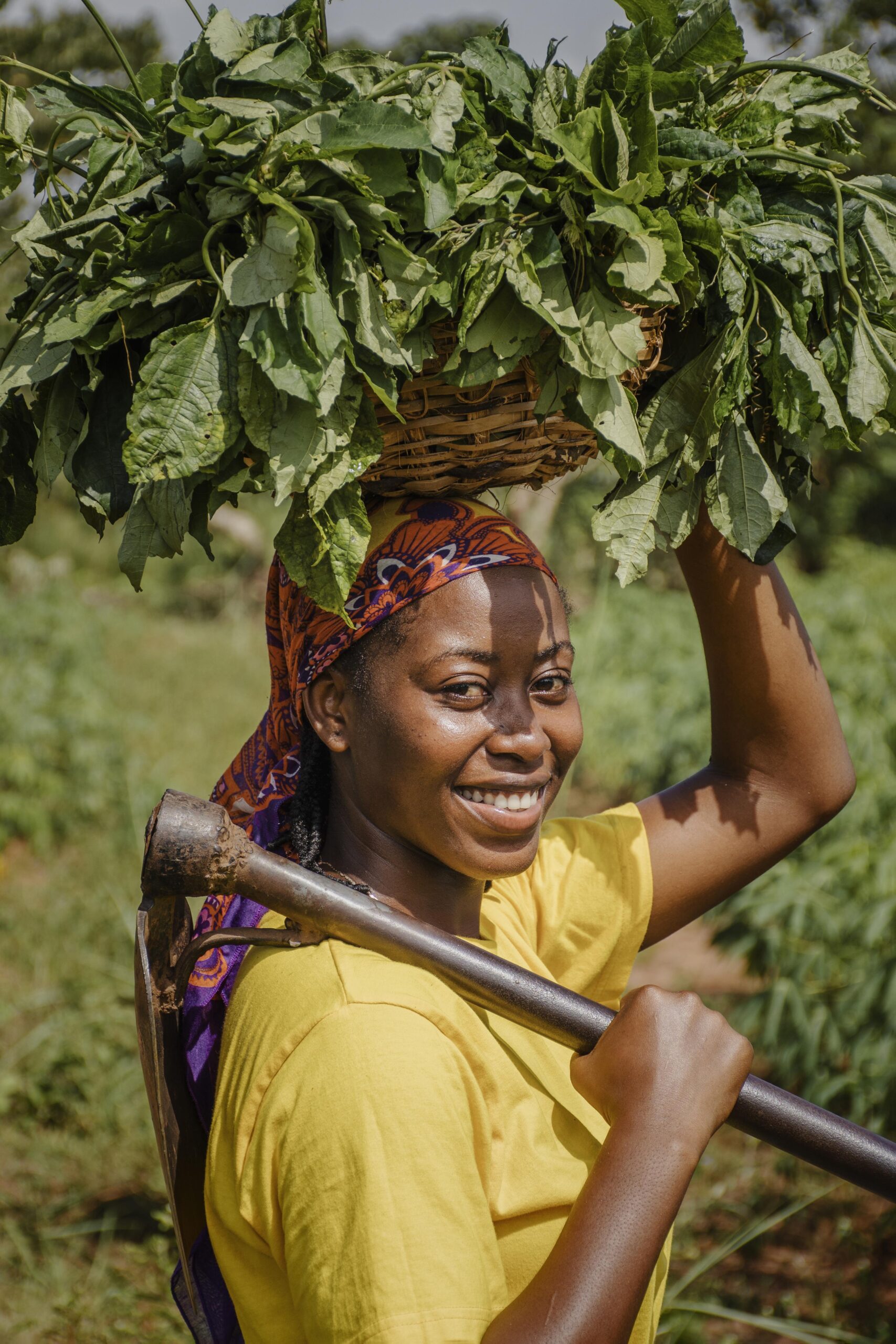 Sustainable Impact: